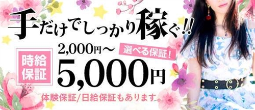 ���É��̏��q�吶�f���w���E�w���X�E�����r